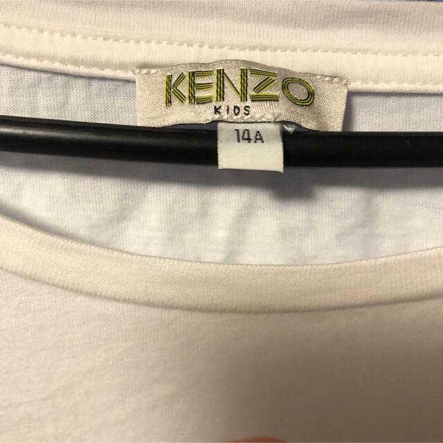 KENZO(ケンゾー)のKENZO レディースのトップス(Tシャツ(半袖/袖なし))の商品写真