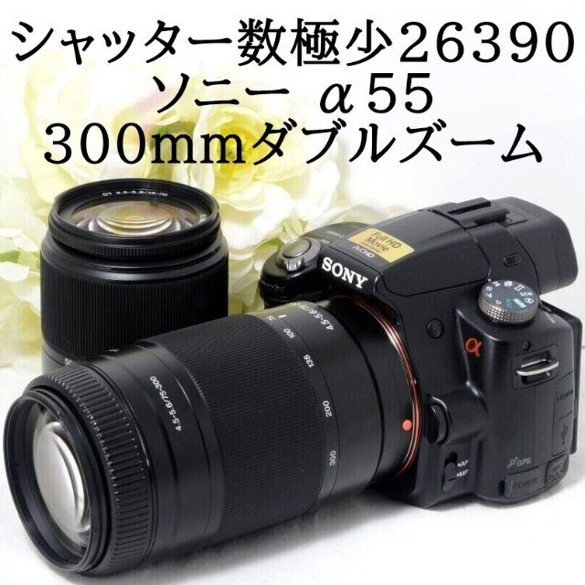 買物 ✨美品✨SONY ソニー α55 デジタル一眼レフ ダブルレンズセット