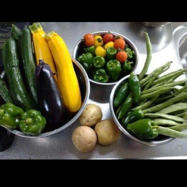 野菜詰め合わせセット　無農薬栽培 食品/飲料/酒の食品(野菜)の商品写真