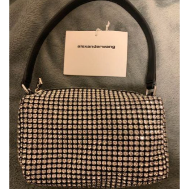 alexander wang heiress ラインストーンバッグ | napierhearing.org.nz