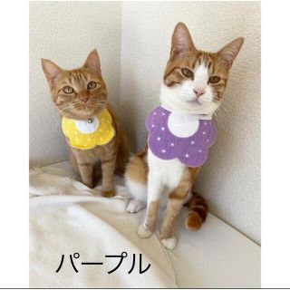 (新品)ペットスタイ　ペットとお出かけ　ペットグッズ　犬グッズ　猫グッズ(猫)