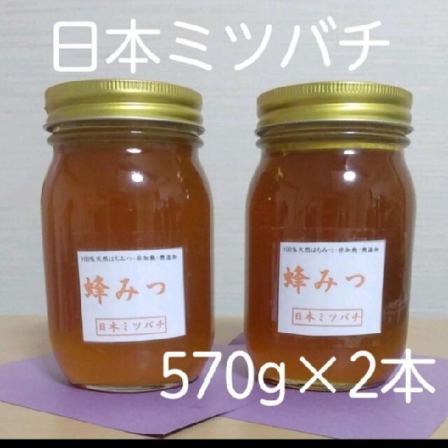 ハチミツ日本ミツバチの蜂蜜  570g×2本