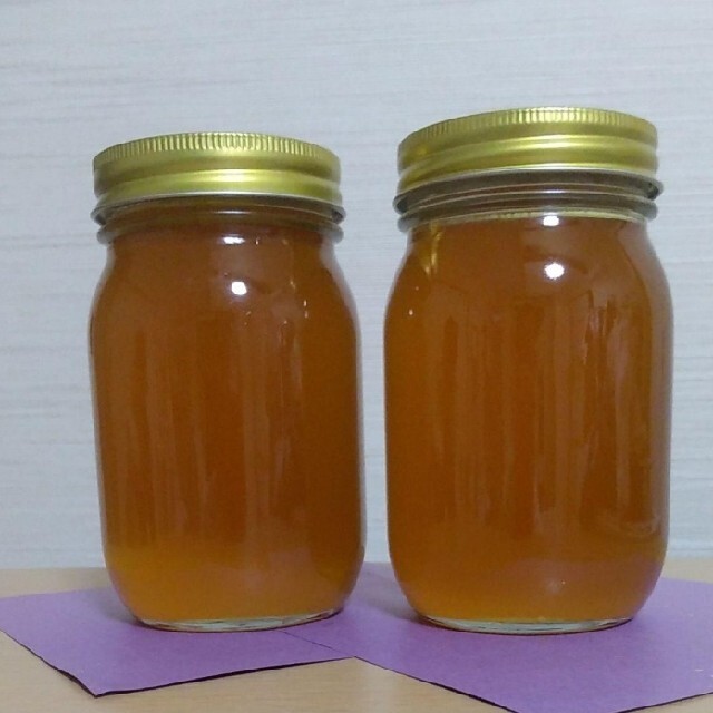 日本ミツバチの蜂蜜 570g×2本 - その他