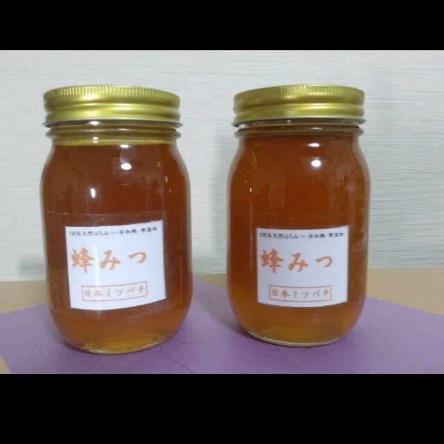 日本ミツバチの蜂蜜 570g×2本 - その他