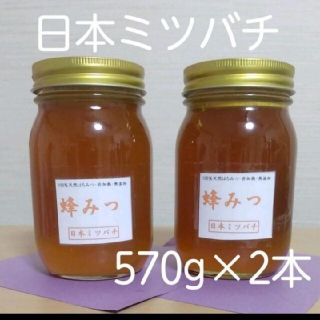 日本ミツバチの蜂蜜  570g×2本(その他)