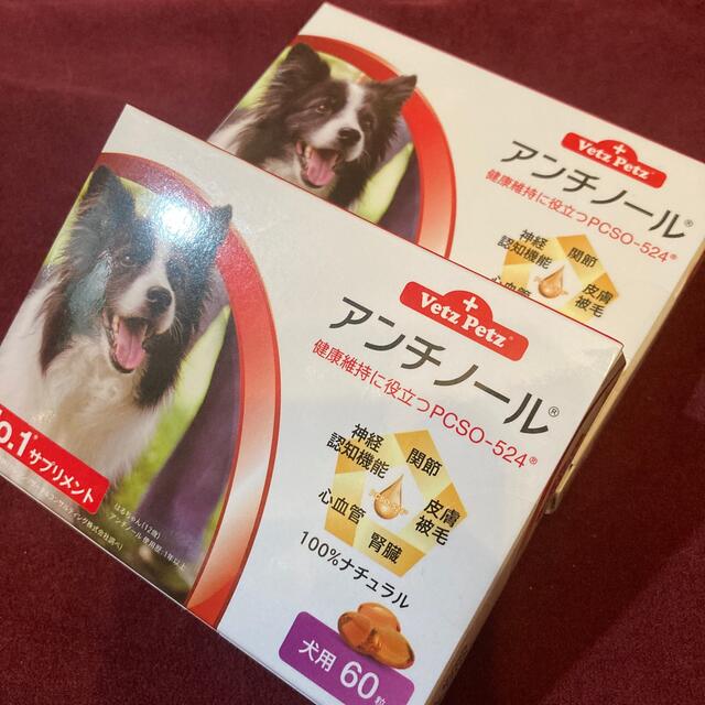 新品未開封】アンチノール 60粒入り 2箱セット 犬用の通販 by 黄色 ...