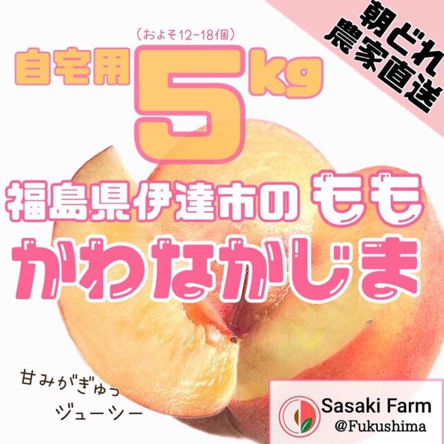【本日限定!聖光勝利記念セール!】川中島桃 5kgセット 12-18pcs