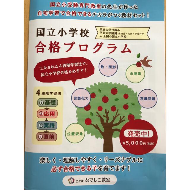 お受験こぐま　なでしこ教室　国立小学校　合格プログラム　セット