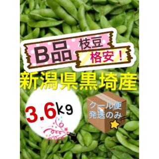 41 くろさき茶豆　【Ｂ品3.6kg】新潟県黒埼産　枝豆　えだまめ(野菜)