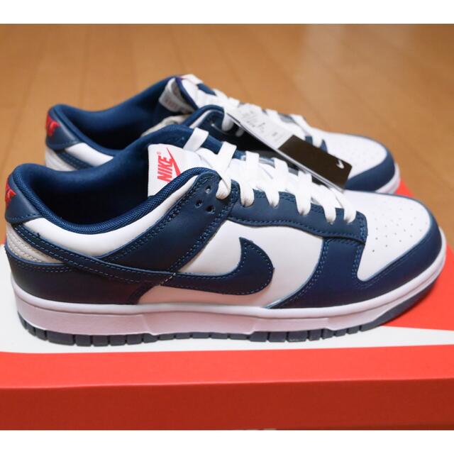 NIKE DUNK  LOW ナイキダンクロー　バレリアンブルー　サイズ27.5