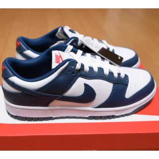 ナイキ(NIKE)のNIKE DUNK  LOW ナイキダンクロー　バレリアンブルー　サイズ27.5(スニーカー)