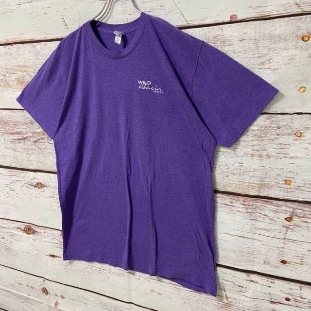 American Apparel(アメリカンアパレル)のアメリカンアパレル MADE IN USA 両面プリント Tシャツ XL メンズのトップス(Tシャツ/カットソー(半袖/袖なし))の商品写真