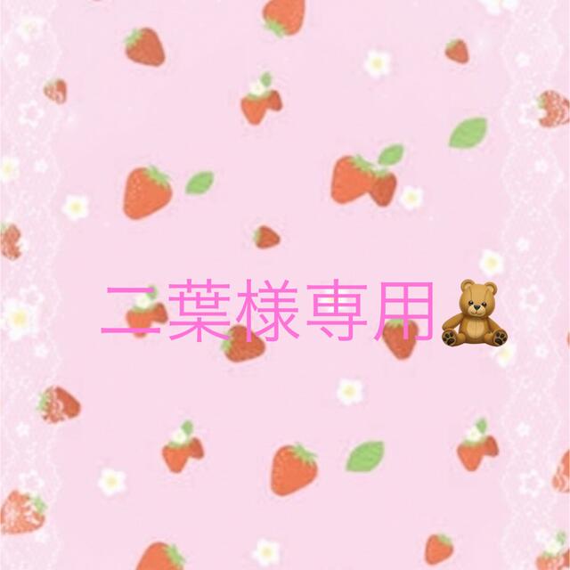 二葉様専用 🎀 一番の贈り物 www.toyotec.com