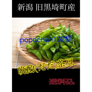 たぬきさんちの枝豆 新潟県産晩酌(だだ)茶豆 4kg(野菜)