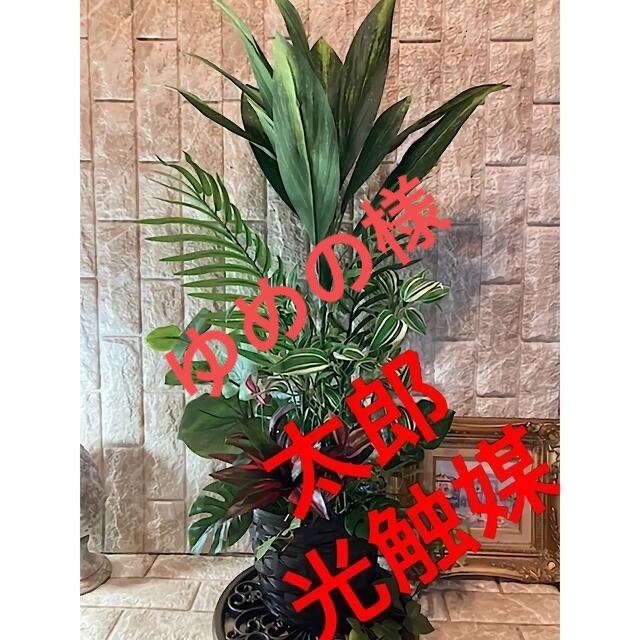 光触媒　人工観葉植物　ウォールグリーン　フェイク　フラワ マッサンアレンジ92g