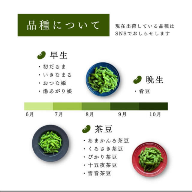 【予約品】新潟県黒埼産 茶豆 規格外品 3.0kg 食品/飲料/酒の食品(野菜)の商品写真