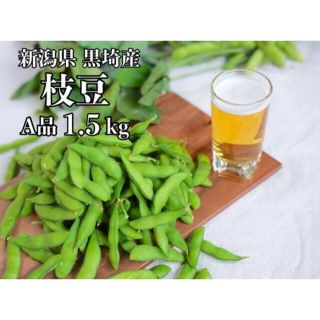 【予約品】新潟黒埼産 枝豆 A品 1.5kg（送料無料キャンペーン）(野菜)