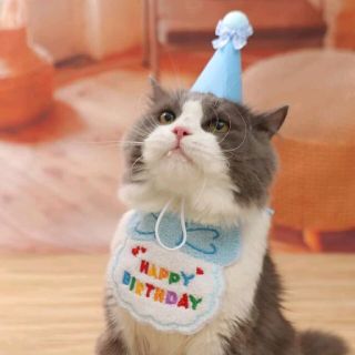 犬 猫 ペット 誕生日 帽子 ハット バンダナ スタイ  ブルー(犬)