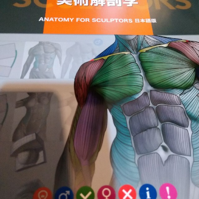 スカルプターのための美術解剖学 ＡＮＡＴＯＭＹ　ＦＯＲ　ＳＣＵＬＰＴＯＲＳ日本語