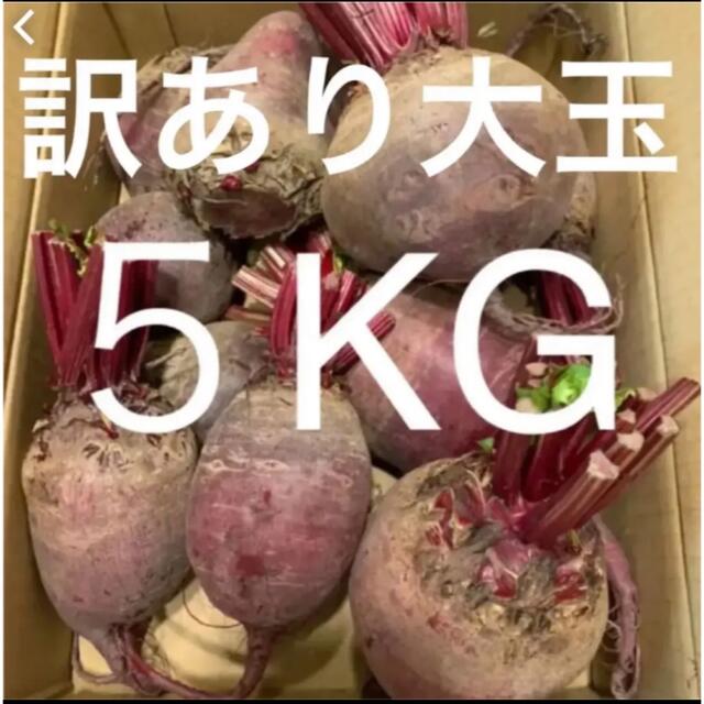 数限定　訳あり 大玉サイズ 北海道　江別産　無農薬　オーガニック　ビーツ　5kg 食品/飲料/酒の食品(野菜)の商品写真