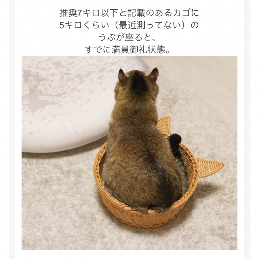 3COINS(スリーコインズ)のスリーコインズ★新品★猫耳籠ベッド★ネコ スリコ 3coins ペット カゴ その他のペット用品(猫)の商品写真