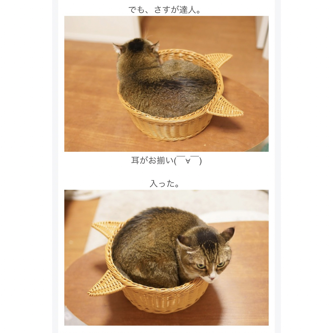 3COINS(スリーコインズ)のスリーコインズ★新品★猫耳籠ベッド★ネコ スリコ 3coins ペット カゴ その他のペット用品(猫)の商品写真