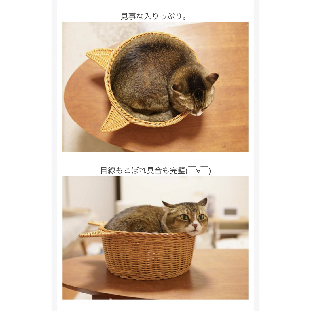 3COINS(スリーコインズ)のスリーコインズ★新品★猫耳籠ベッド★ネコ スリコ 3coins ペット カゴ その他のペット用品(猫)の商品写真