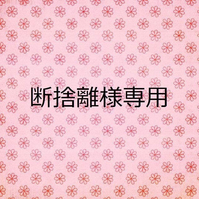 断捨離さま専用 - その他