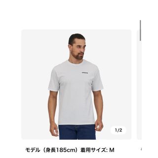 パタゴニア(patagonia)のパタゴニア　レスポンシビリティTシャツ(Tシャツ/カットソー(半袖/袖なし))