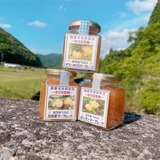 柑橘ジャム180g×3本(缶詰/瓶詰)