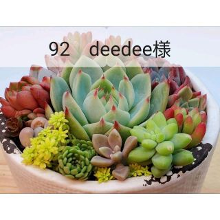 92　deedee様(その他)