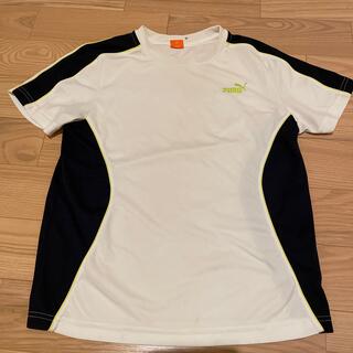 プーマ(PUMA)のPUMA  Tシャツ（スポーツ、トレーニングウェア）(Tシャツ/カットソー(半袖/袖なし))