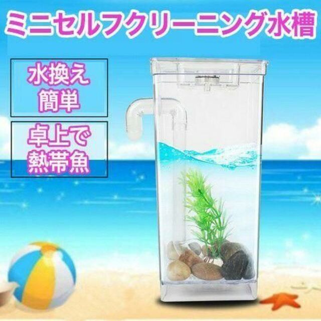 ミニセルフクリーニング水槽 卓上水槽 アクアタンク 自動水換え プラスチック素材 | フリマアプリ ラクマ