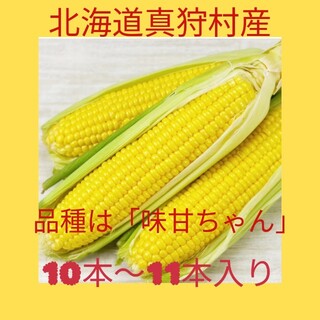 8月29日発送。北海道真狩村産とうもろこし、品種は味甘ちゃん(野菜)