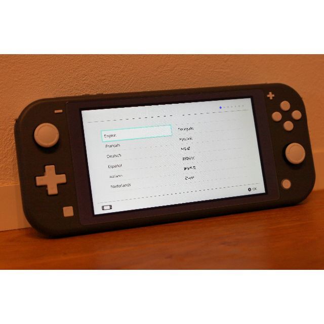 Nintendo switch lite グレー　おまけ付き　任天堂　スイッチ 2