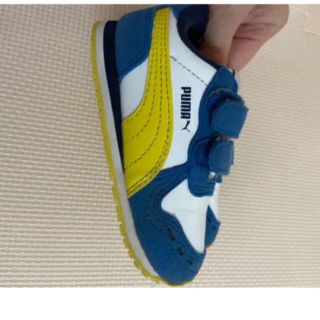 PUMA(プーマ)のPUMA スニーカー キッズ/ベビー/マタニティのベビー靴/シューズ(~14cm)(スニーカー)の商品写真