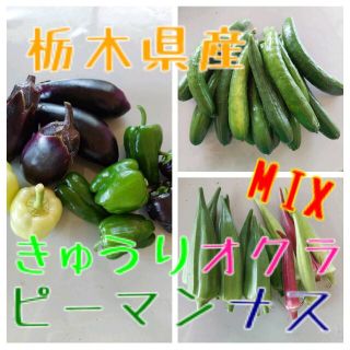 栃木県産　なす・ピーマン・きゅうり・オクラMIX(野菜)