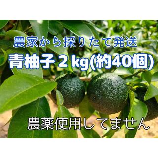 ゆず（青柚子）２kg以上(約40個)＊収穫後発送＊無農薬＊徳島県(フルーツ)