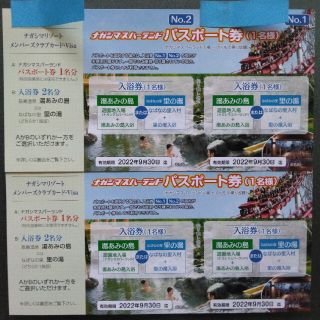 ナガシマスパーランドパスポート大人無料券2枚です(遊園地/テーマパーク)