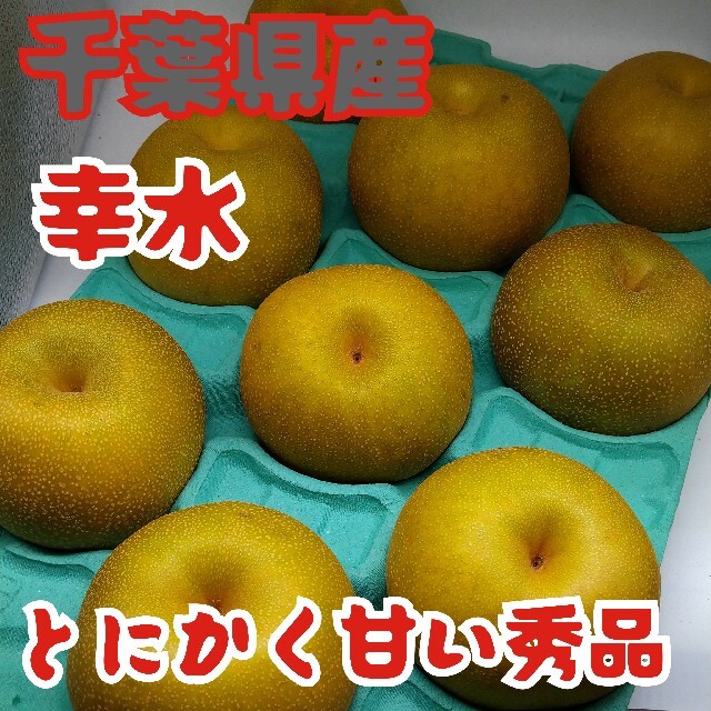 千葉県産★秀品幸水梨★大玉1玉500㌘以上５玉 食品/飲料/酒の食品(フルーツ)の商品写真