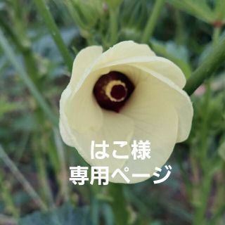 はこ様専用ページ(野菜)