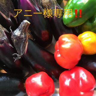 【ご予約品⠀】アニー様専用‼️野菜詰め合わせ(野菜)