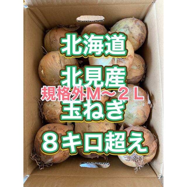 北海道産玉ねぎ　８キロ　規格外品 食品/飲料/酒の食品(野菜)の商品写真