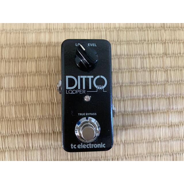 ditto looper ルーパー