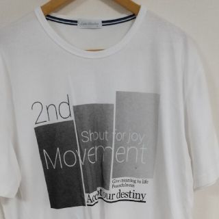 アベイル(Avail)のBIGサイズ Tシャツ(Tシャツ/カットソー(半袖/袖なし))