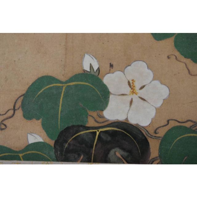 複製】尾形乾山/夕顔図/横物/工芸品/掛軸☆宝船☆AA-38