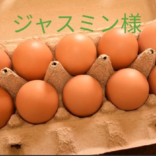 ジャスミン様専用　平飼いたまご30個 食品/飲料/酒の食品(野菜)の商品写真