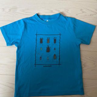 モンベル(mont bell)のmont-bell 昆虫Ｔシャツ　120(Tシャツ/カットソー)