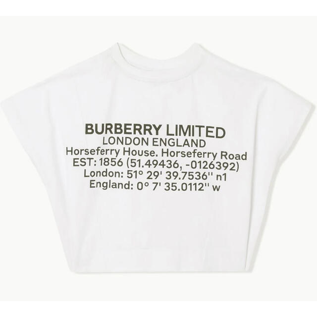 BURBERRY(バーバリー)のBURBERRY KIDS  バックロゴTシャツ　 キッズ/ベビー/マタニティのキッズ服女の子用(90cm~)(Tシャツ/カットソー)の商品写真