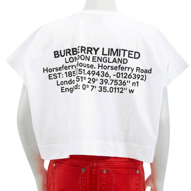 BURBERRY(バーバリー)のBURBERRY KIDS  バックロゴTシャツ　 キッズ/ベビー/マタニティのキッズ服女の子用(90cm~)(Tシャツ/カットソー)の商品写真